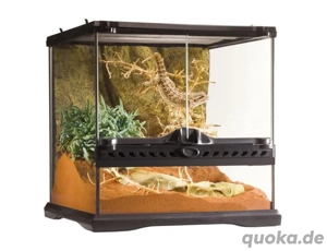 Exo Terra Terrarium 