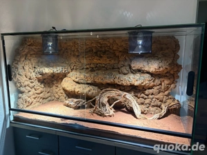 Terrarium 150x60x80 mit Technik Zubehör