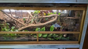 2 Terrarien zu verkaufen: Hochterrarium und Terrarium mit 150 cm Länge