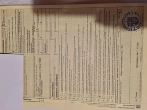 Verkaufe griechische Landschildkröten Nachzucht von 2025 mit EU Bescheinigung 