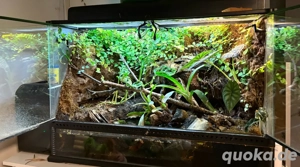 ExoTerra Terrarium mit Beregnungsanlage komplett