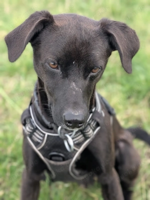 Warum sieht mich keiner? Dzon, lieber dankbarer Schatz