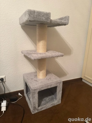 Katzenbaum und Katzenbett