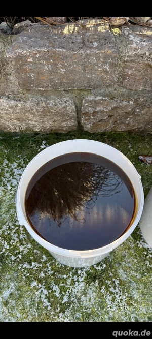 Waldhonig und Blütenhonig 