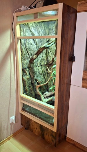 Terrarium 150cmx60cm Bild 2