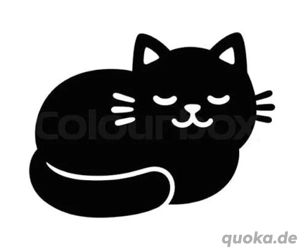 Suche: schwarze Katze für Wohnungshaltung 