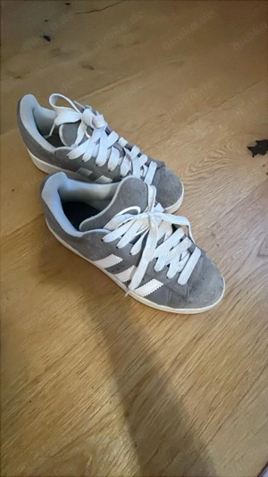 Adidas Campus Hellgrau Größe 38, guter Zustand, selten getragen