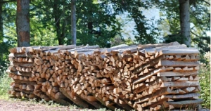 Brennholz zu verkaufen