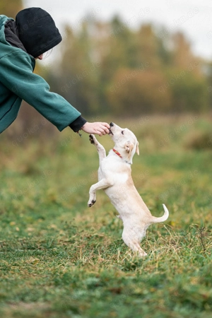 Cream - ein junge Seele auf der Suche nach Liebe und Sicherheit