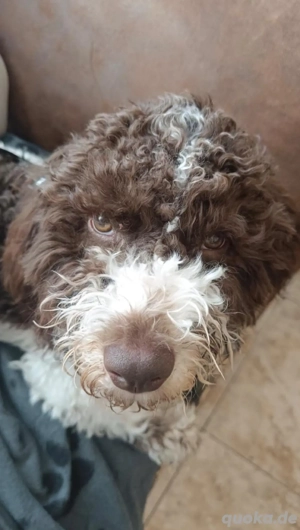 Lina, ein perfektes Mädchen