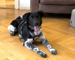 Frohnatur Amelie möchte bei dir einziehen