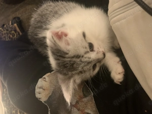 Zuckersüßes Mädchen