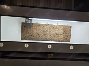 Terrarium Kunststoff 