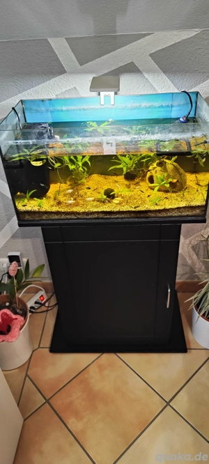 aquarium mit unterschrank etc 
