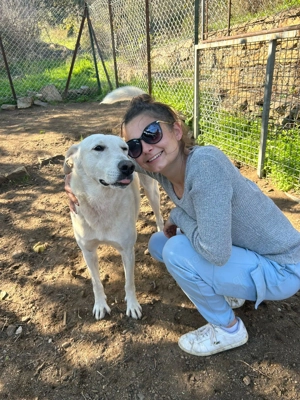 Zuhause oder Pflegestelle gesucht für Nero Bild 4