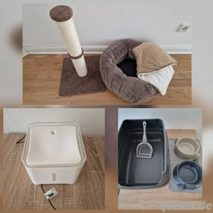Komplettes Katzenset