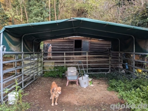 Weidezelt Pferdeunterstand Panelzelt