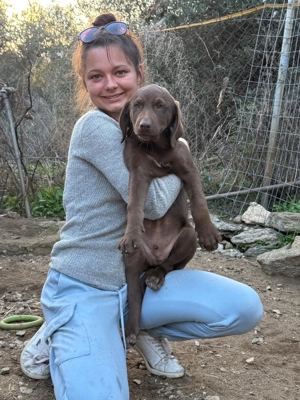 -Reserviert- Zuhause oder Pflegestelle gesucht für Brownie 