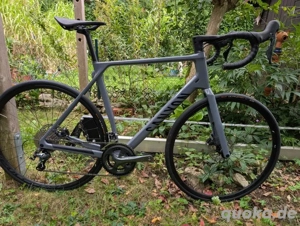 Canyon Endurace CF 6   2023 (Größe L)