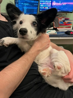 Blanca will endlich ankommen