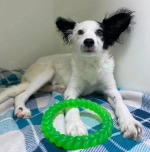 Blanca - die strahlende Seele mit einem Herz voller Hoffnung