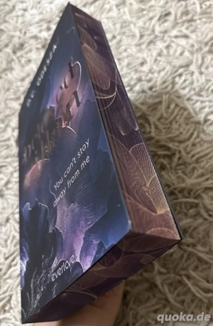 beloved villain  band 1 und 2