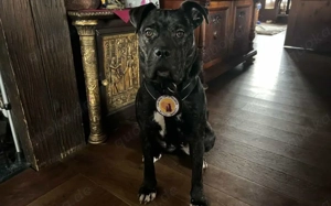 Isabel sucht Zuhause Bild 3