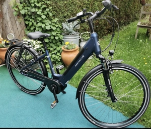 Saxonette Optimunm E Citybike