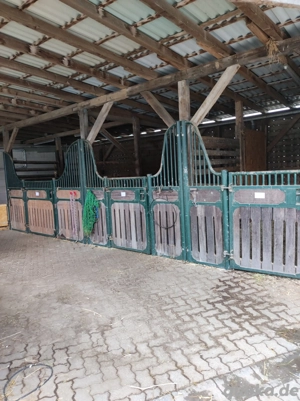 Kleine Stallgemeinschaft bietet 2 Boxen ab 01.02. an 