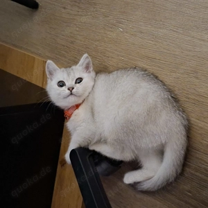 Sie ist ein sehr schönes Weihnachtsgeschenk