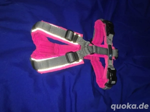 Annyx leuchtpink grau in XS