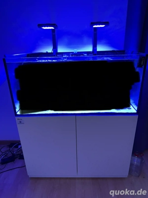 Red Sea Reefer 425 xl Meerwasser Aquarium