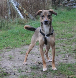 Nero - Glück und Liebe im zweiten Anlauf?