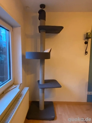 deckenhoher Kratzbaum