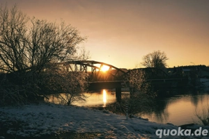 kleiner hund gesucht 