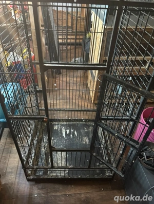 Voliere, Vogelkäfig, Käfig