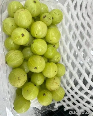 Indien importierte exotische Früchte zum Verkauf