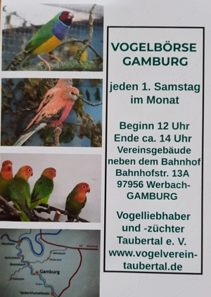 Vogelbörse Gamburg Sa. 6. Dezember 2025