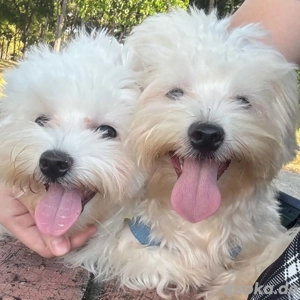 Kontaktieren Sie uns über WhatsApp unter  