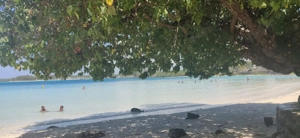 Ladys gesucht auf Zypern für Escortservice!