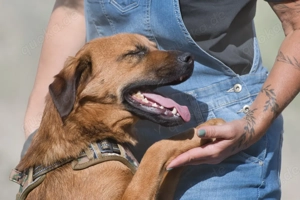 Caju, jung, lieb und unerfahren Bild 6