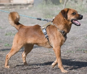 Caju, jung, lieb und unerfahren Bild 7