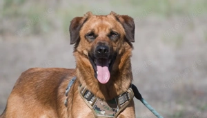 Caju, jung, lieb und unerfahren Bild 5