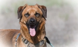 Caju, jung, lieb und unerfahren