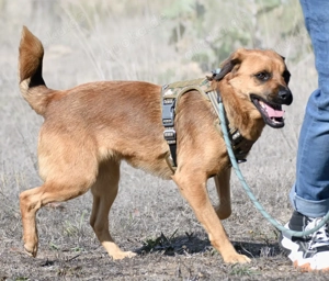 Caju, jung, lieb und unerfahren Bild 8