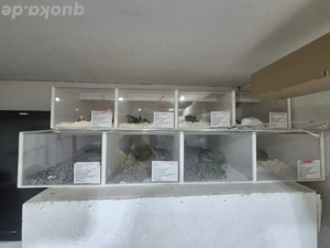 Verkaufsdisplay für Tiere