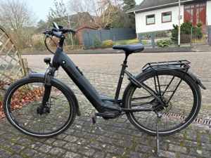 Pegasus Trecking Bike Evo 5F Belt DA.29   M 50Wave 5NR sapphire black matt