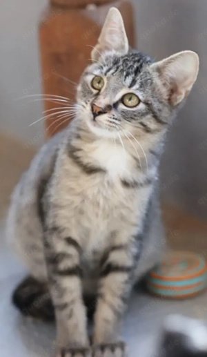 Fara und Finja suchen ihr Zuhause