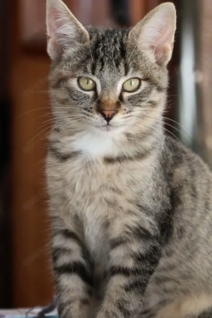 Fara und Finja suchen ihr Zuhause