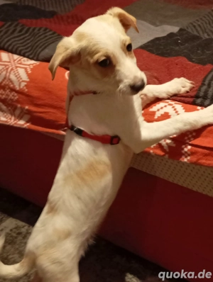 Krümel freut sich auf Deinen Besuch 